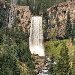 Meet your Posher, Joycr